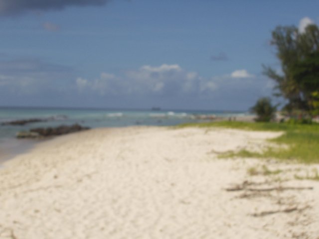 p1010049.jpg
