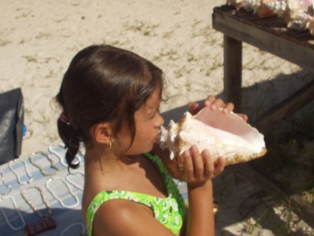 p1010057.jpg