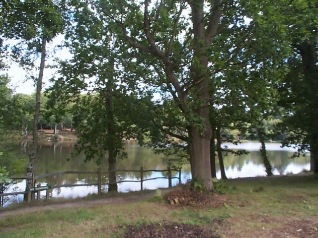 photo10.jpg