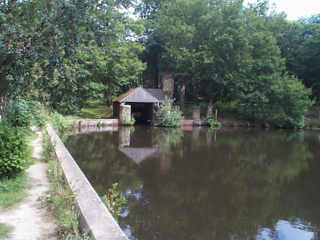 photo13.jpg