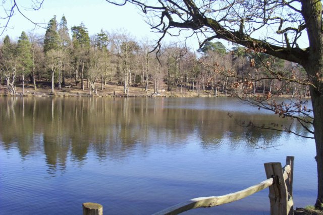 photo15.jpg