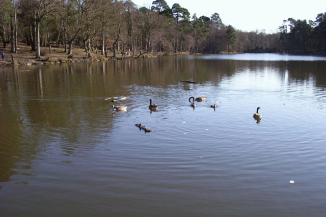 photo18.jpg