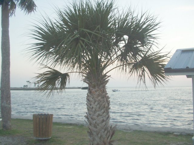florida2.jpg