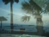 florida4_small.jpg
