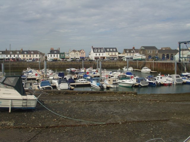 photo80.jpg
