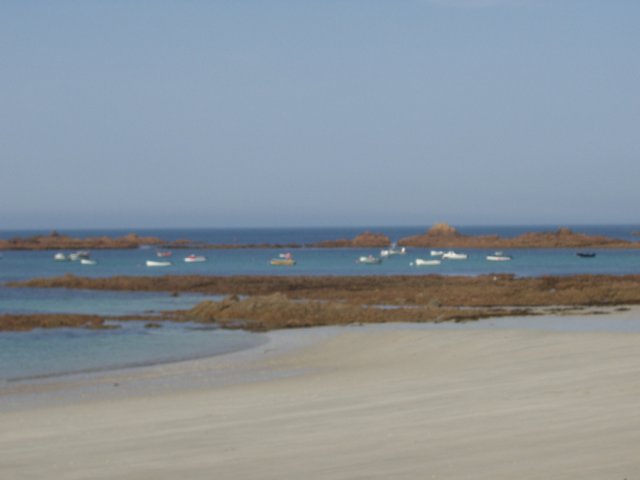 photo85.jpg
