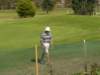 p2010004_small.jpg