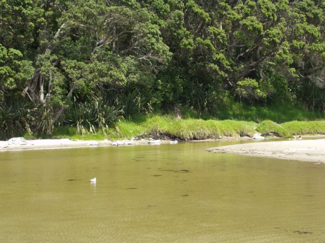 p2020016.jpg