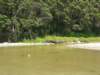 p2020016_small.jpg