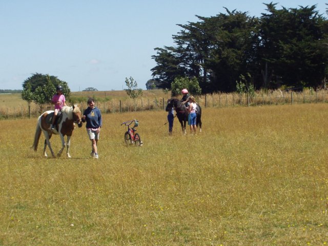 p2060015.jpg