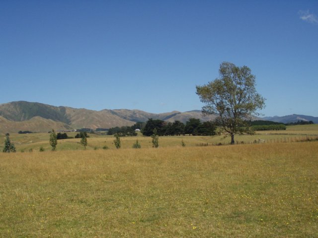 p2060023.jpg