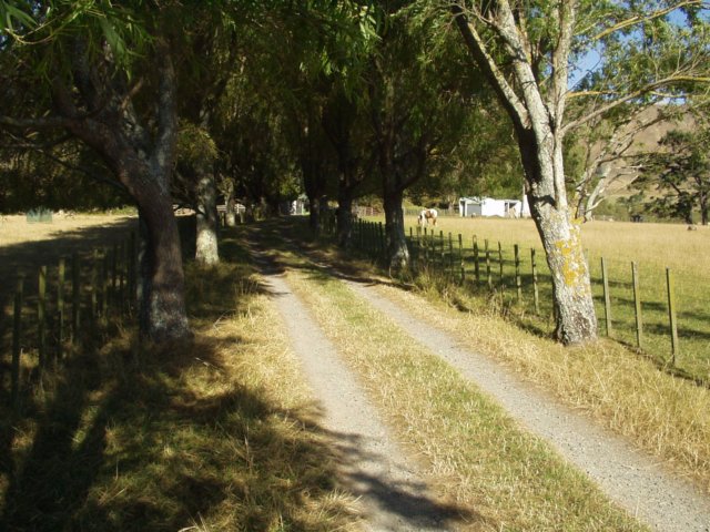 p2070031.jpg