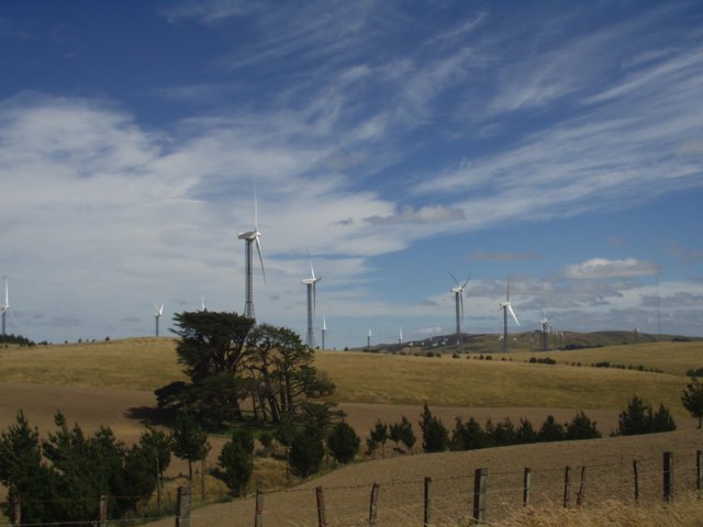 p2080040.jpg