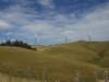 p2080044_small.jpg