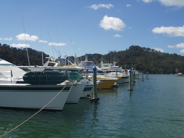 p1010009.jpg