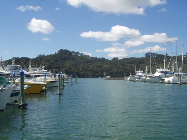 p1010010.jpg