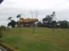 p1010054_small.jpg