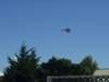 p1010062_small.jpg