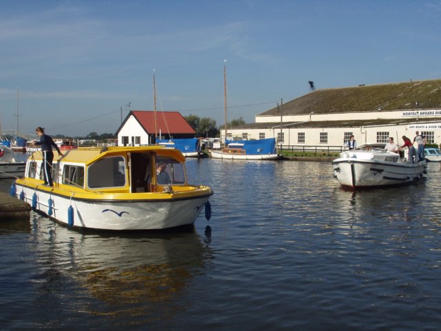 n1010007.jpg