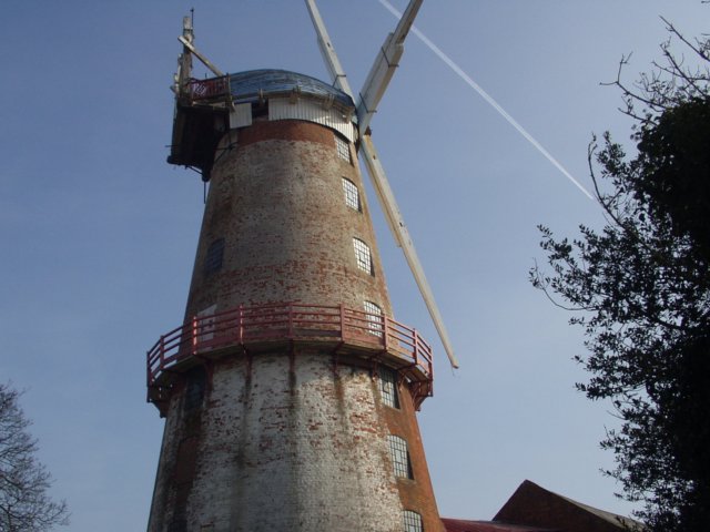 p3160006.jpg
