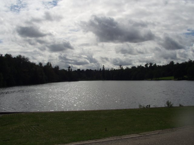 t1010004.jpg