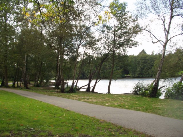 t1010009.jpg